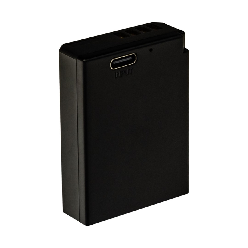 PATONA - Accumulatore Canon LP-E10 1020mAh Li-Ion Platinum USB-C di ricarica