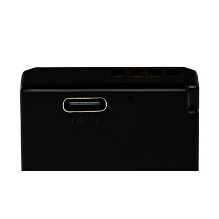PATONA - Accumulatore Canon LP-E10 1020mAh Li-Ion Platinum USB-C di ricarica