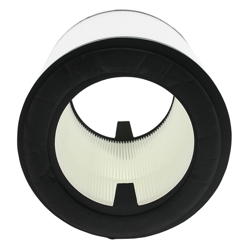 PATONA - Filtro HEPA FY0194/30 per Philips AC0820/10 - AB0820/30 serie 800