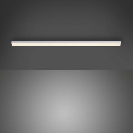 Paul Neuhaus 1125-21-A - LED Estensione under cucina cabinet chiaro AMON LED/6W/12/230V