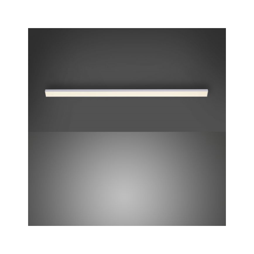 Paul Neuhaus 1125-21-A - LED Estensione under cucina cabinet chiaro AMON LED/6W/12/230V