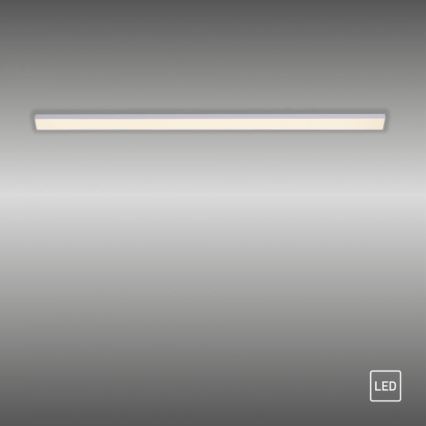 Paul Neuhaus 1125-21-A - LED Estensione under cucina cabinet chiaro AMON LED/6W/12/230V