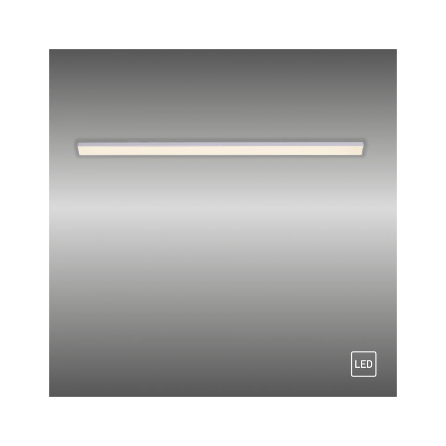 Paul Neuhaus 1125-21-A - LED Estensione under cucina cabinet chiaro AMON LED/6W/12/230V