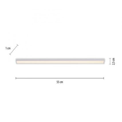 Paul Neuhaus 1125-21-A - LED Estensione under cucina cabinet chiaro AMON LED/6W/12/230V
