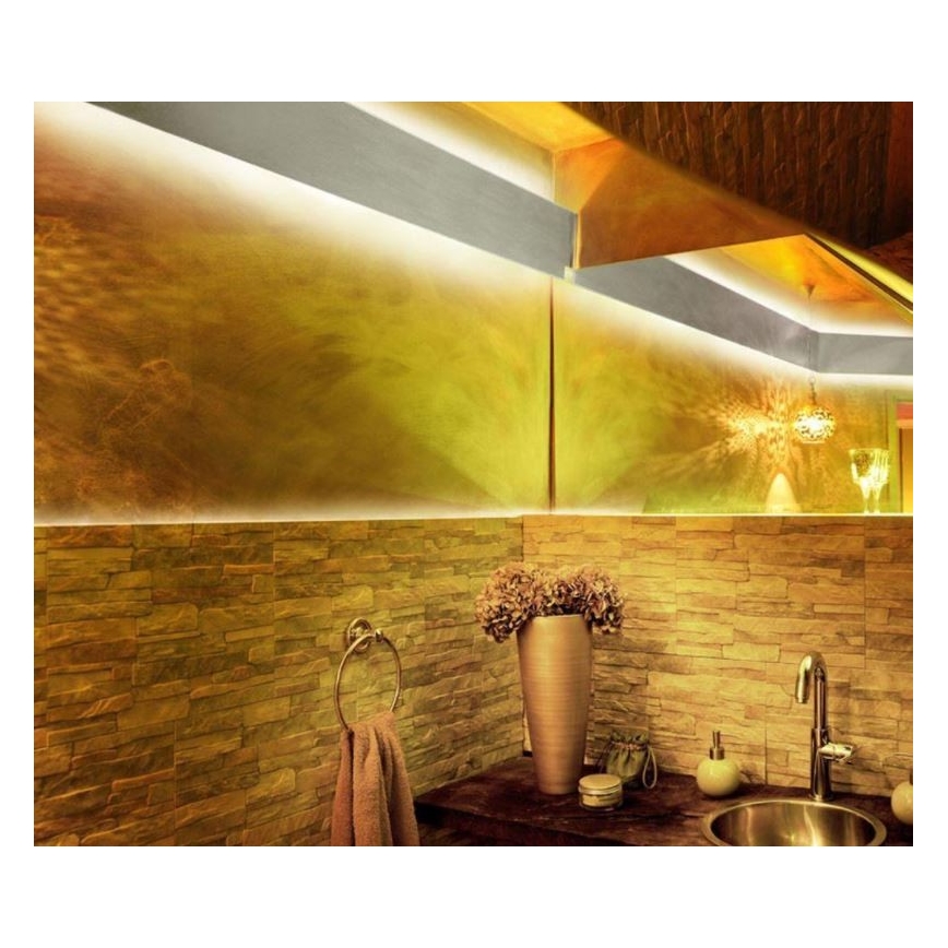 Paul Neuhaus 1205-70 - Striscia LED RGB Dimmerabile TEANIA 10m LED/30W/12/230V + telecomando