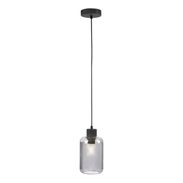 Paul Neuhaus 2006-25 - Lampadario a sospensione con filo BOLETUS 1xE27/10W/230V diametro 14 cm grigio