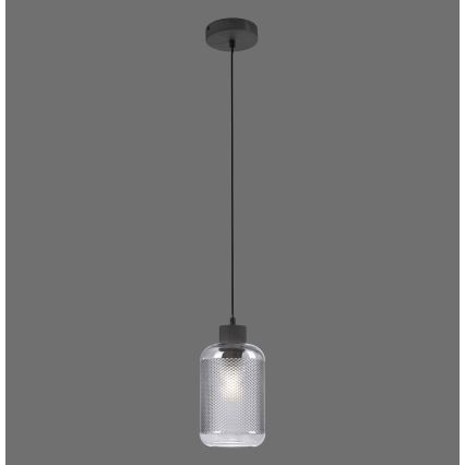 Paul Neuhaus 2006-25 - Lampadario a sospensione con filo BOLETUS 1xE27/10W/230V diametro 14 cm grigio