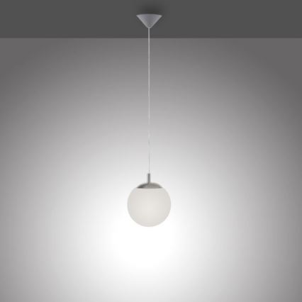 Paul Neuhaus 2072-55 - Suspension filaire BOLO 1xE27/60W/230V d. 20 cm