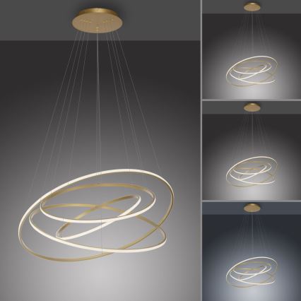 Paul Neuhaus 2124-60 - Lampadario a sospensione con filo LED dimmerabile TESSARA LED/97W/230V 2700-5000K + telecomando