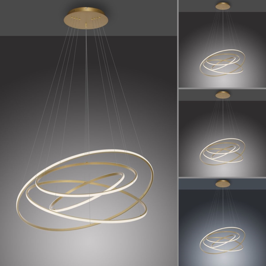 Paul Neuhaus 2124-60 - Lampadario a sospensione con filo LED dimmerabile TESSARA LED/97W/230V 2700-5000K + telecomando