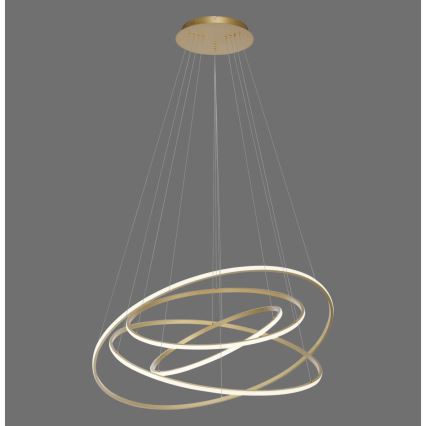 Paul Neuhaus 2124-60 - Lampadario a sospensione con filo LED dimmerabile TESSARA LED/97W/230V 2700-5000K + telecomando