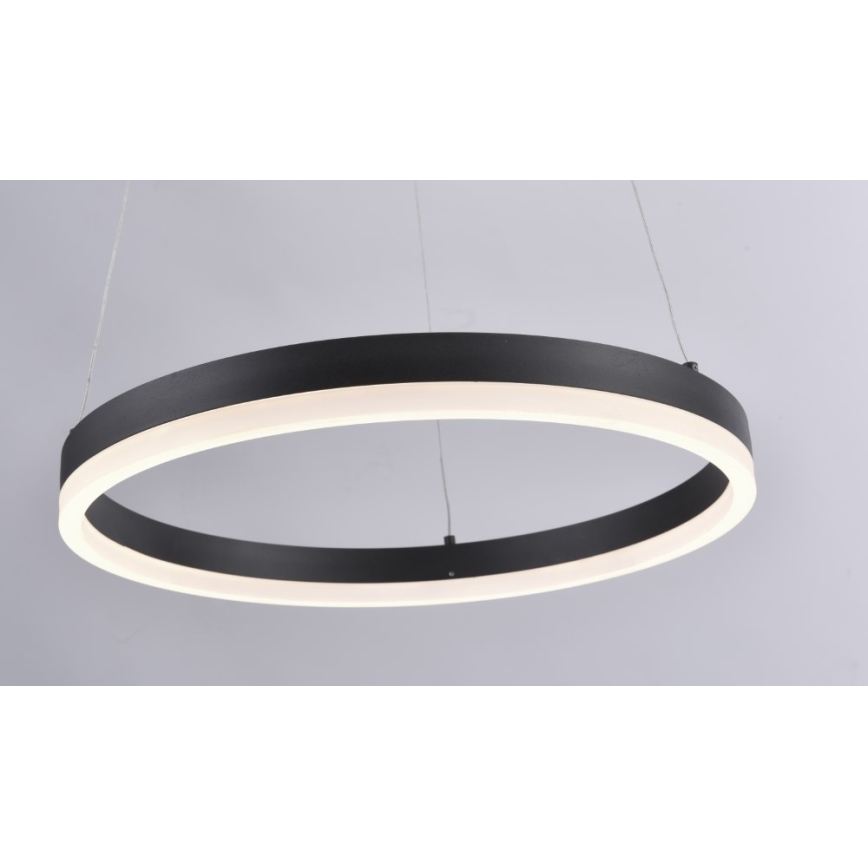Paul Neuhaus 2381-13 - Suspension filaire à intensité variable TITUS LED/28W/230V