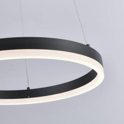 Paul Neuhaus 2381-13 - Suspension filaire à intensité variable TITUS LED/28W/230V
