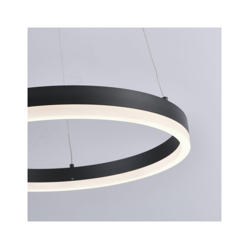 Paul Neuhaus 2381-13 - Suspension filaire à intensité variable TITUS LED/28W/230V
