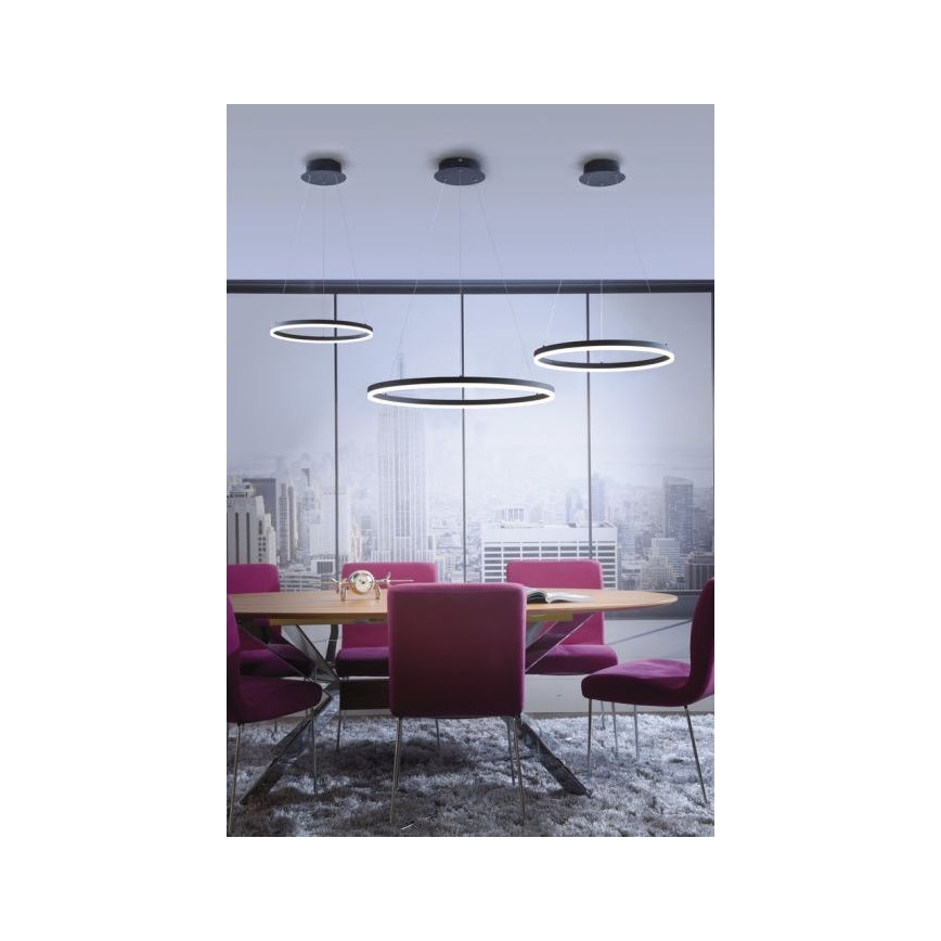 Paul Neuhaus 2382-13 - Lampadario LED dimmerabile su filo TITUS LED/38,5W/230V