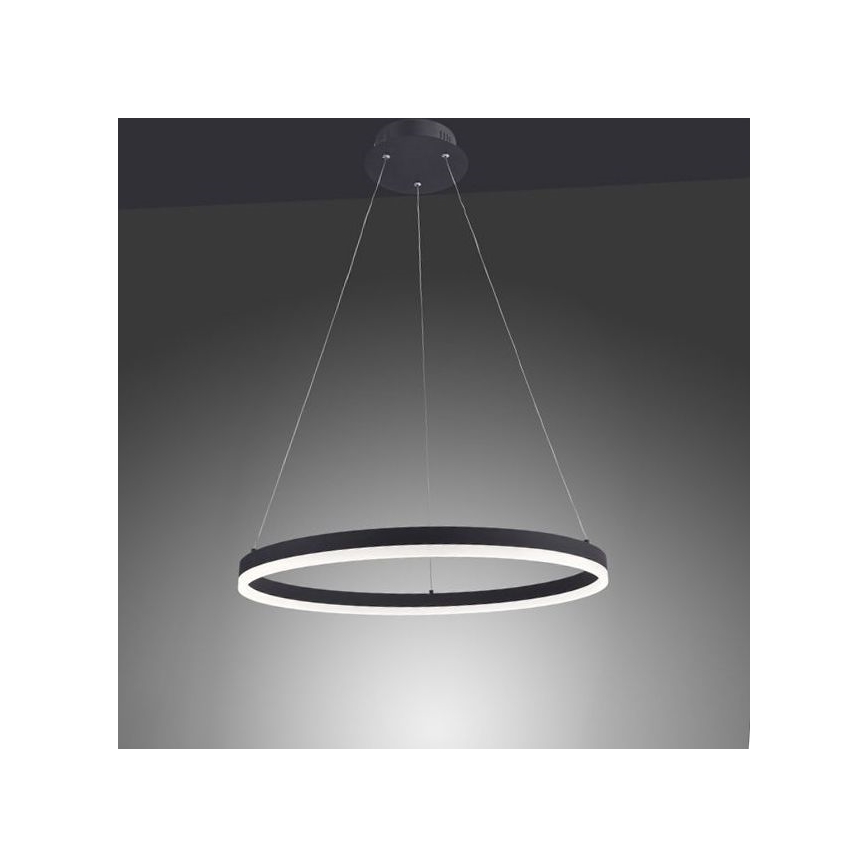 Paul Neuhaus 2382-13 - Suspension filaire à intensité variable TITUS LED/38,5W/230V