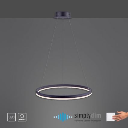 Paul Neuhaus 2382-13 - Suspension filaire à intensité variable TITUS LED/38,5W/230V