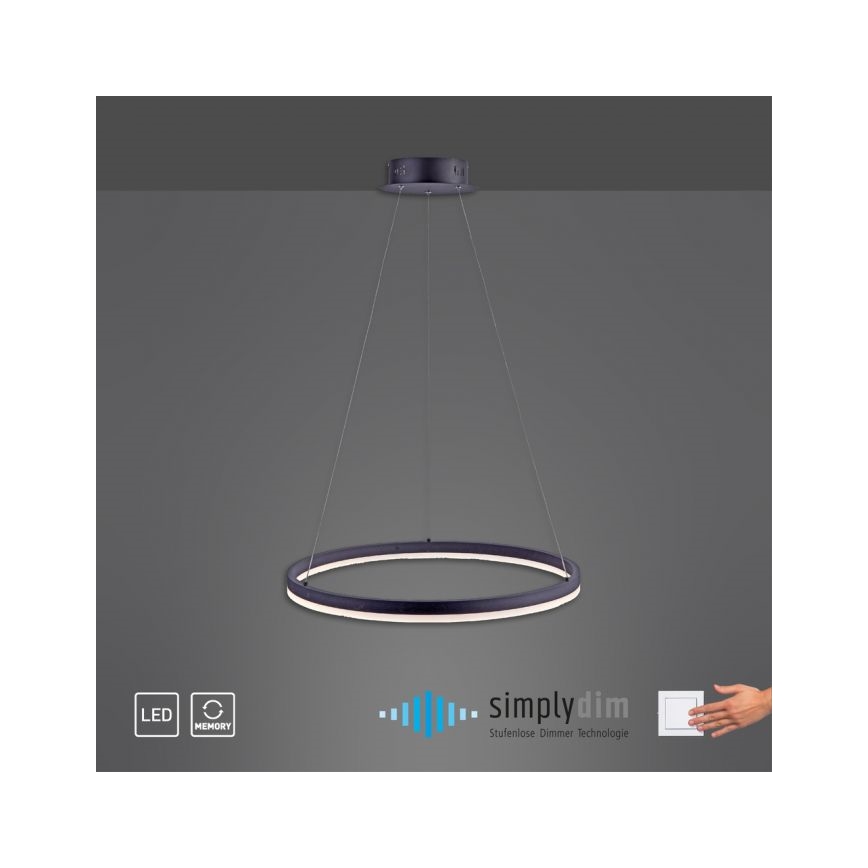 Paul Neuhaus 2382-13 - Suspension filaire à intensité variable TITUS LED/38,5W/230V