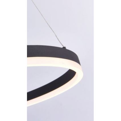 Paul Neuhaus 2382-13 - Suspension filaire à intensité variable TITUS LED/38,5W/230V