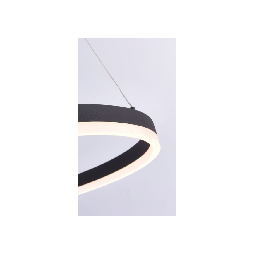 Paul Neuhaus 2382-13 - Suspension filaire à intensité variable TITUS LED/38,5W/230V