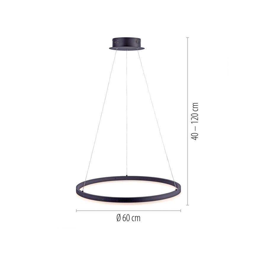 Paul Neuhaus 2382-13 - Suspension filaire à intensité variable TITUS LED/38,5W/230V