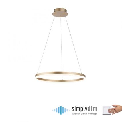 Paul Neuhaus 2382-60 - Lampadario a sospensione con filo LED dimmerabile TITUS LED/38,5W/230V