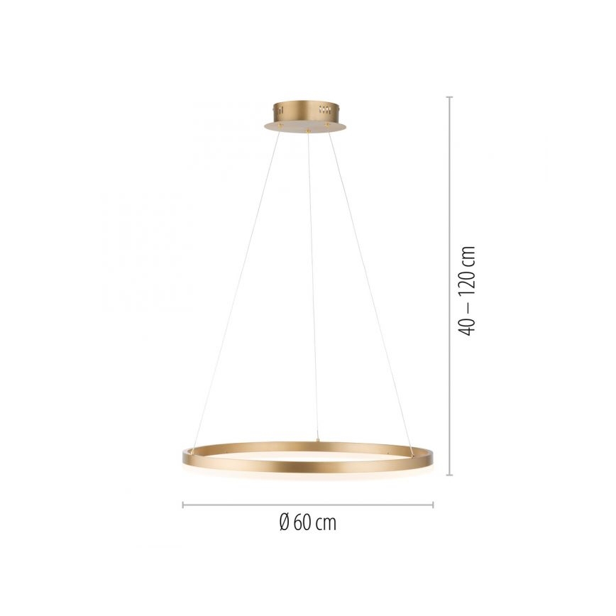 Paul Neuhaus 2382-60 - Lampadario a sospensione con filo LED dimmerabile TITUS LED/38,5W/230V
