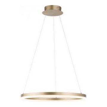 Paul Neuhaus 2382-60 - Suspension filaire à intensité variable TITUS LED/38,5W/230V