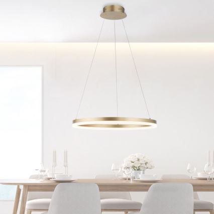 Paul Neuhaus 2382-60 - Suspension filaire à intensité variable TITUS LED/38,5W/230V