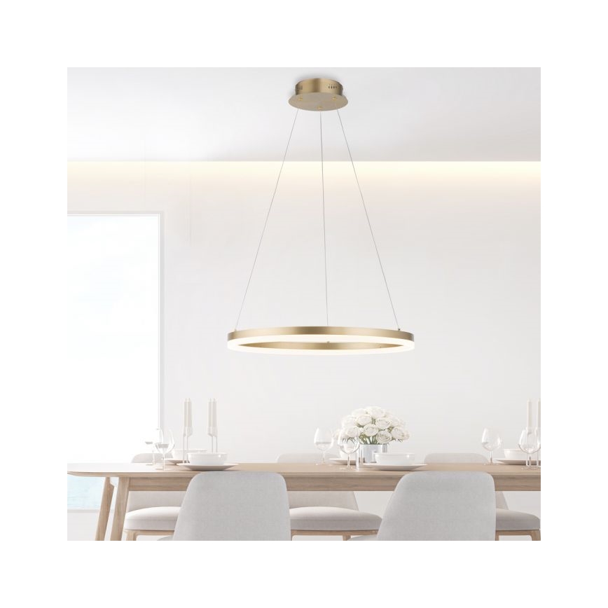 Paul Neuhaus 2382-60 - Suspension filaire à intensité variable TITUS LED/38,5W/230V