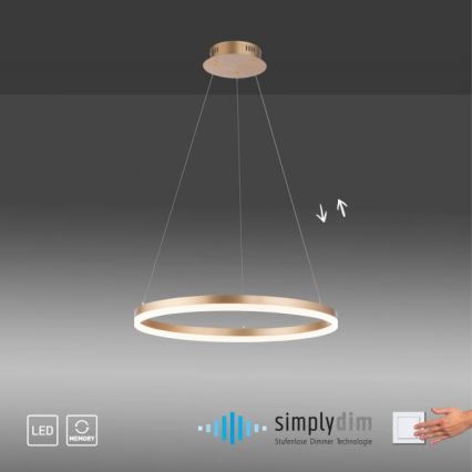 Paul Neuhaus 2382-60 - Suspension filaire à intensité variable TITUS LED/38,5W/230V
