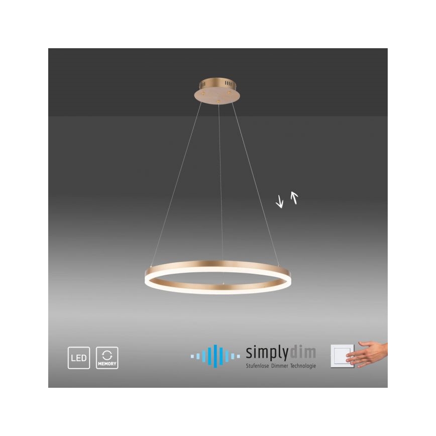 Paul Neuhaus 2382-60 - Suspension filaire à intensité variable TITUS LED/38,5W/230V