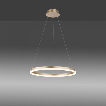 Paul Neuhaus 2382-60 - Suspension filaire à intensité variable TITUS LED/38,5W/230V