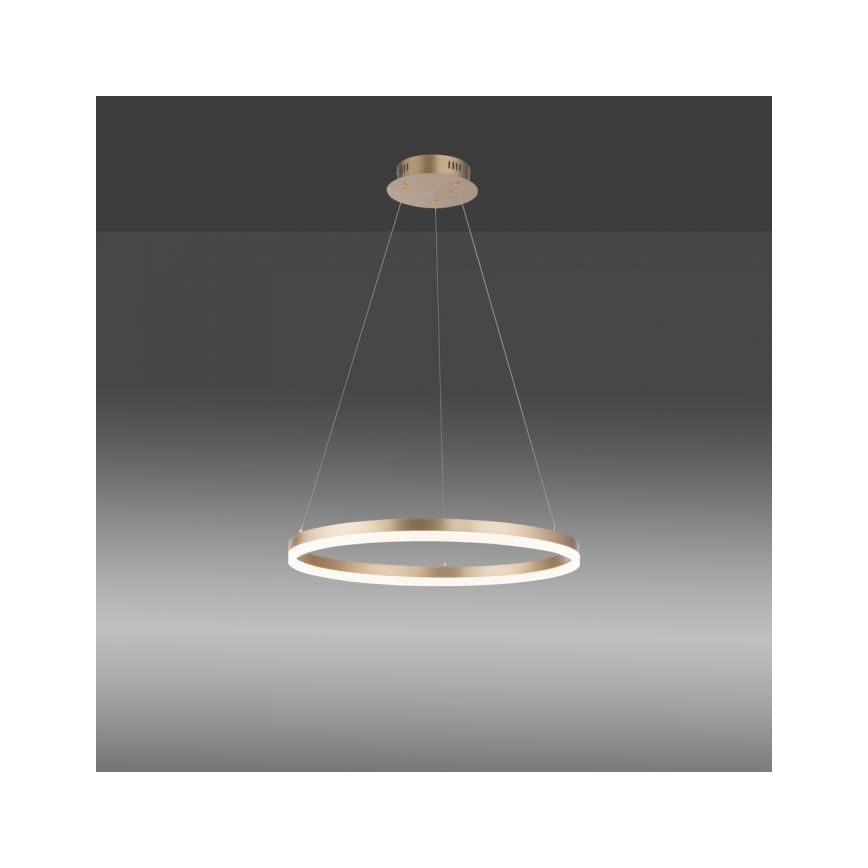 Paul Neuhaus 2382-60 - Suspension filaire à intensité variable TITUS LED/38,5W/230V