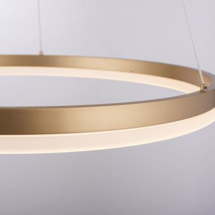 Paul Neuhaus 2382-60 - Suspension filaire à intensité variable TITUS LED/38,5W/230V