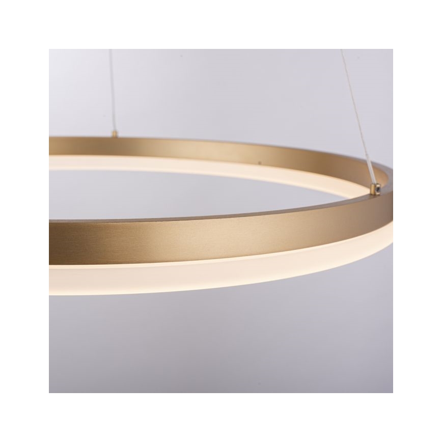 Paul Neuhaus 2382-60 - Suspension filaire à intensité variable TITUS LED/38,5W/230V