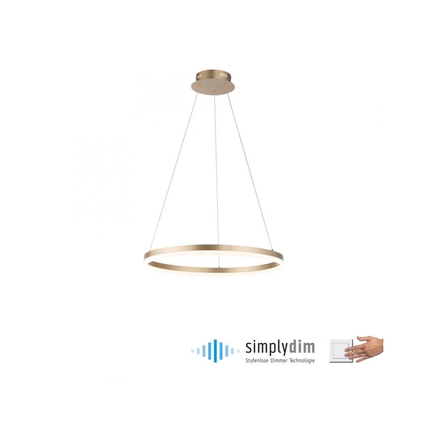 Paul Neuhaus 2382-60 - Suspension filaire à intensité variable TITUS LED/38,5W/230V