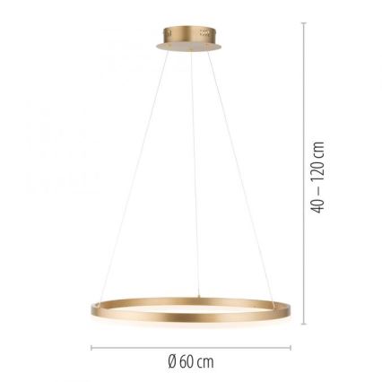 Paul Neuhaus 2382-60 - Suspension filaire à intensité variable TITUS LED/38,5W/230V