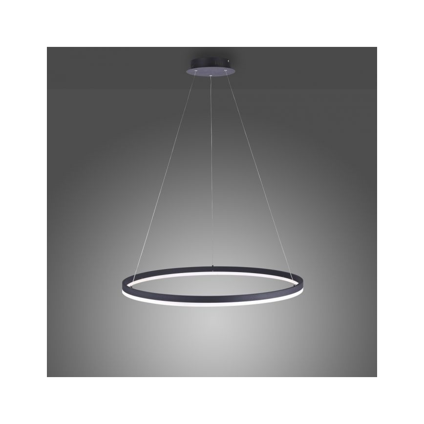 Paul Neuhaus 2383-13 - Lampadario LED dimmerabile su filo TITUS LED/50W/230V