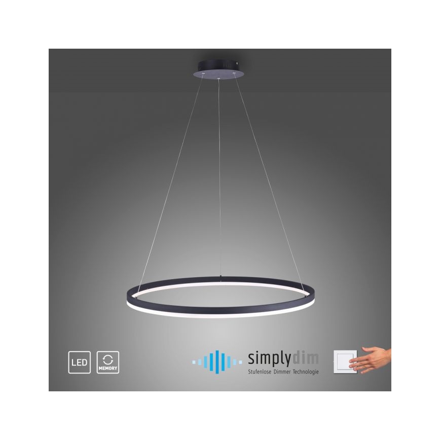Paul Neuhaus 2383-13 - Lampadario LED dimmerabile su filo TITUS LED/50W/230V