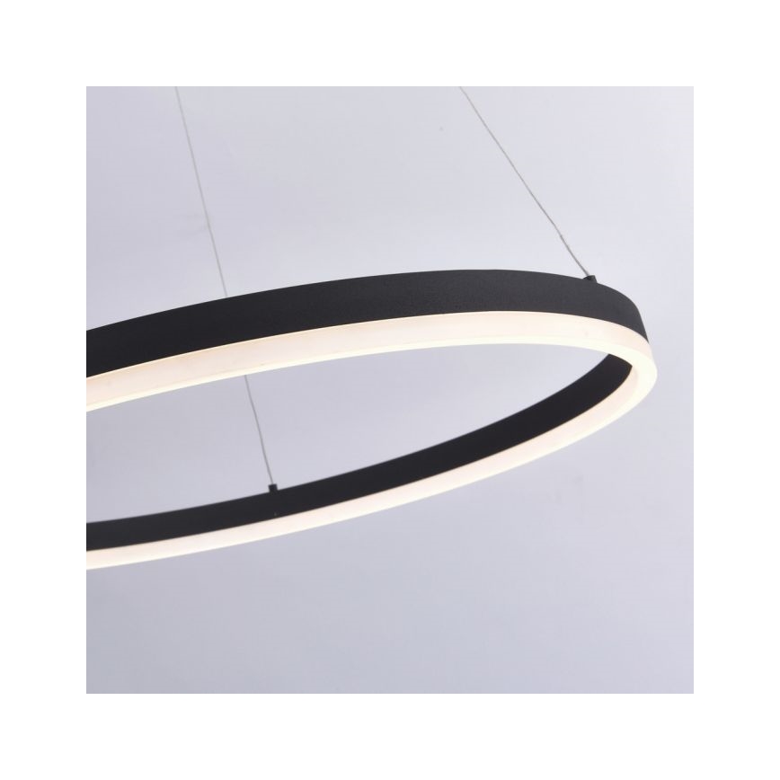 Paul Neuhaus 2383-13 - Lampadario LED dimmerabile su filo TITUS LED/50W/230V