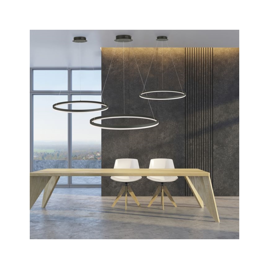 Paul Neuhaus 2383-13 - Suspension filaire LED à intensité variable TITUS LED/50W/230V