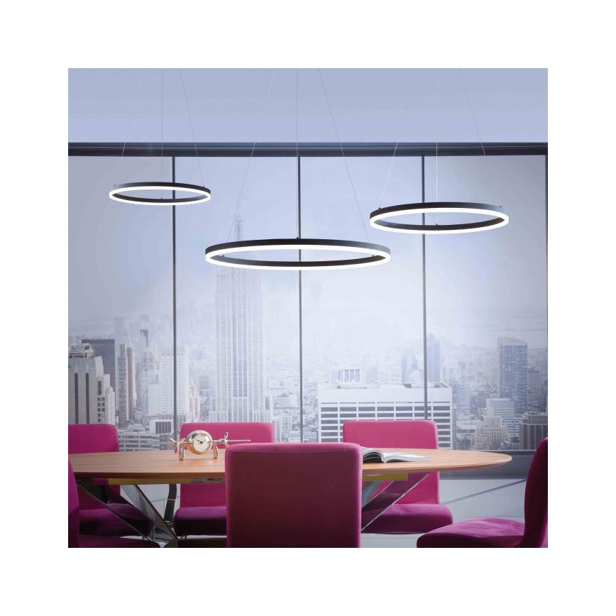 Paul Neuhaus 2383-13 - Suspension filaire LED à intensité variable TITUS LED/50W/230V