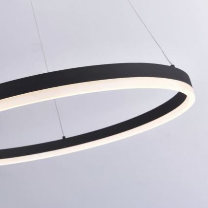 Paul Neuhaus 2383-13 - Suspension filaire LED à intensité variable TITUS LED/50W/230V