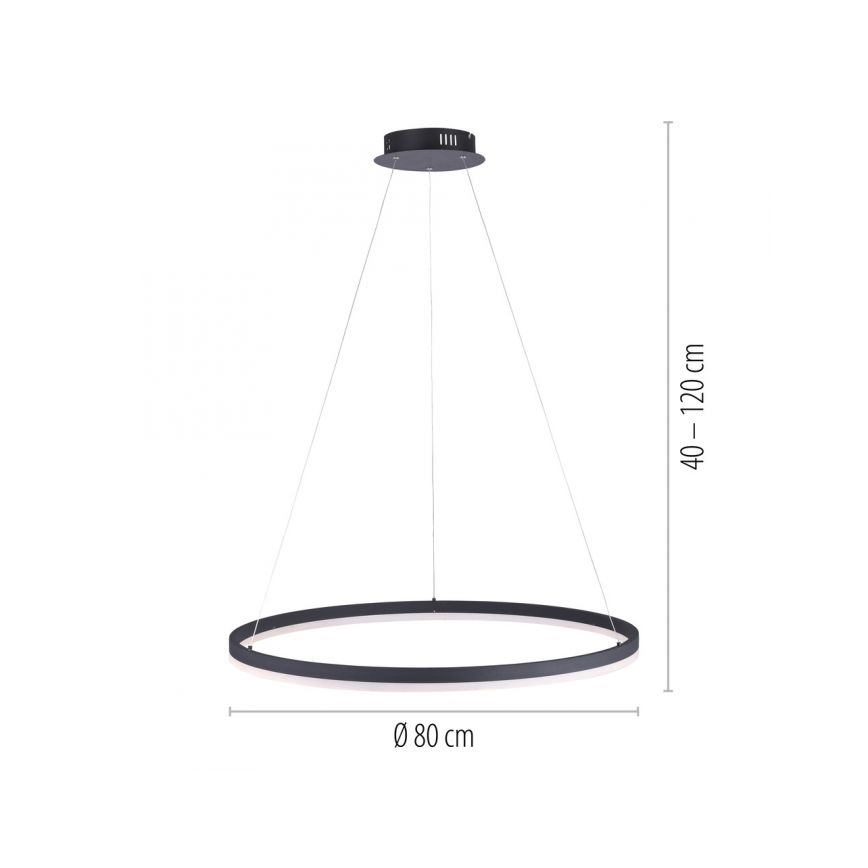 Paul Neuhaus 2383-13 - Suspension filaire LED à intensité variable TITUS LED/50W/230V
