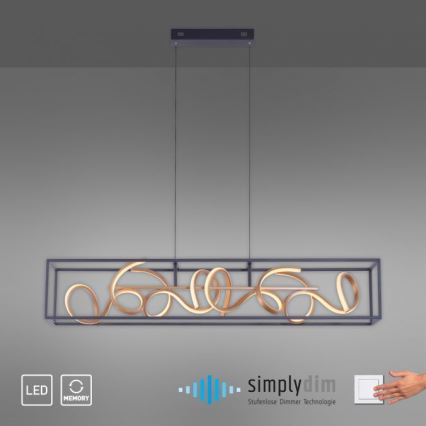 Paul Neuhaus 2416-18 - Lampadario LED a sospensione con filo dimmerabile SELINA 4xLED/10,2W/230V