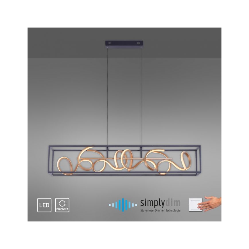 Paul Neuhaus 2416-18 - Lampadario LED a sospensione con filo dimmerabile SELINA 4xLED/10,2W/230V