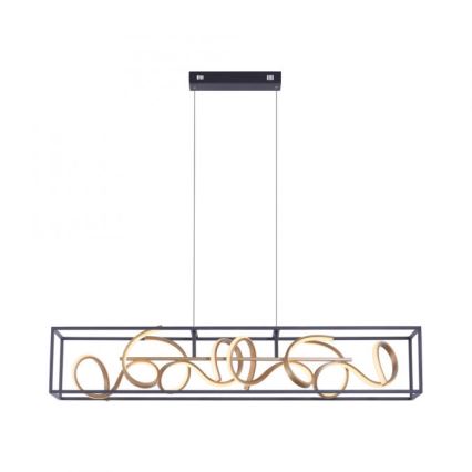 Paul Neuhaus 2416-18 - Lampadario LED a sospensione con filo dimmerabile SELINA 4xLED/10,2W/230V