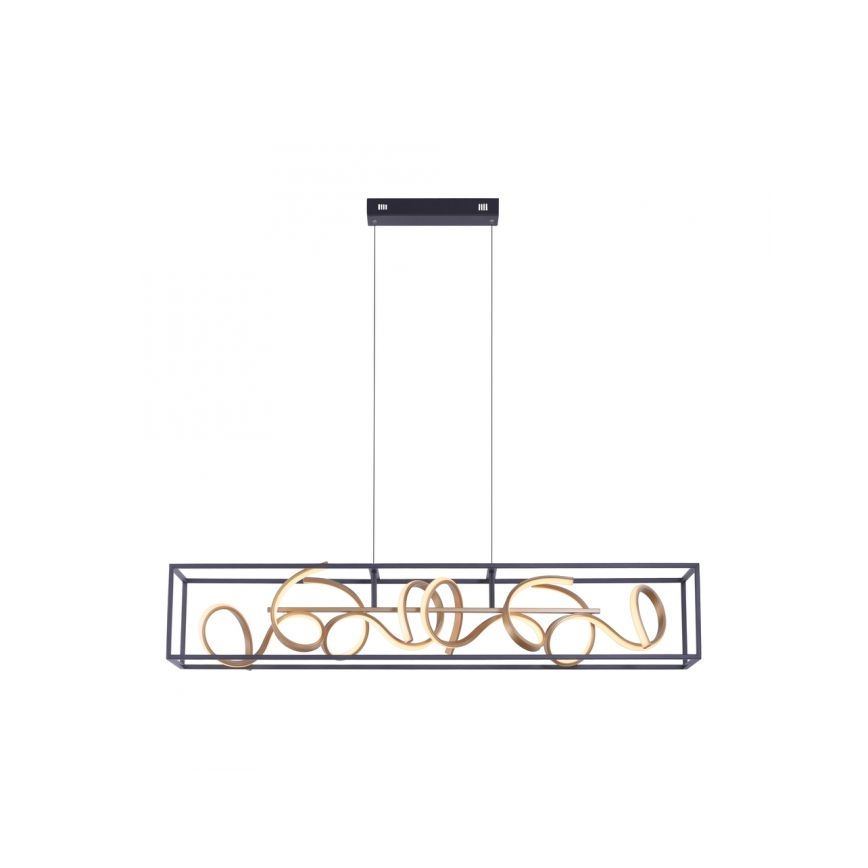 Paul Neuhaus 2416-18 - Lampadario LED a sospensione con filo dimmerabile SELINA 4xLED/10,2W/230V