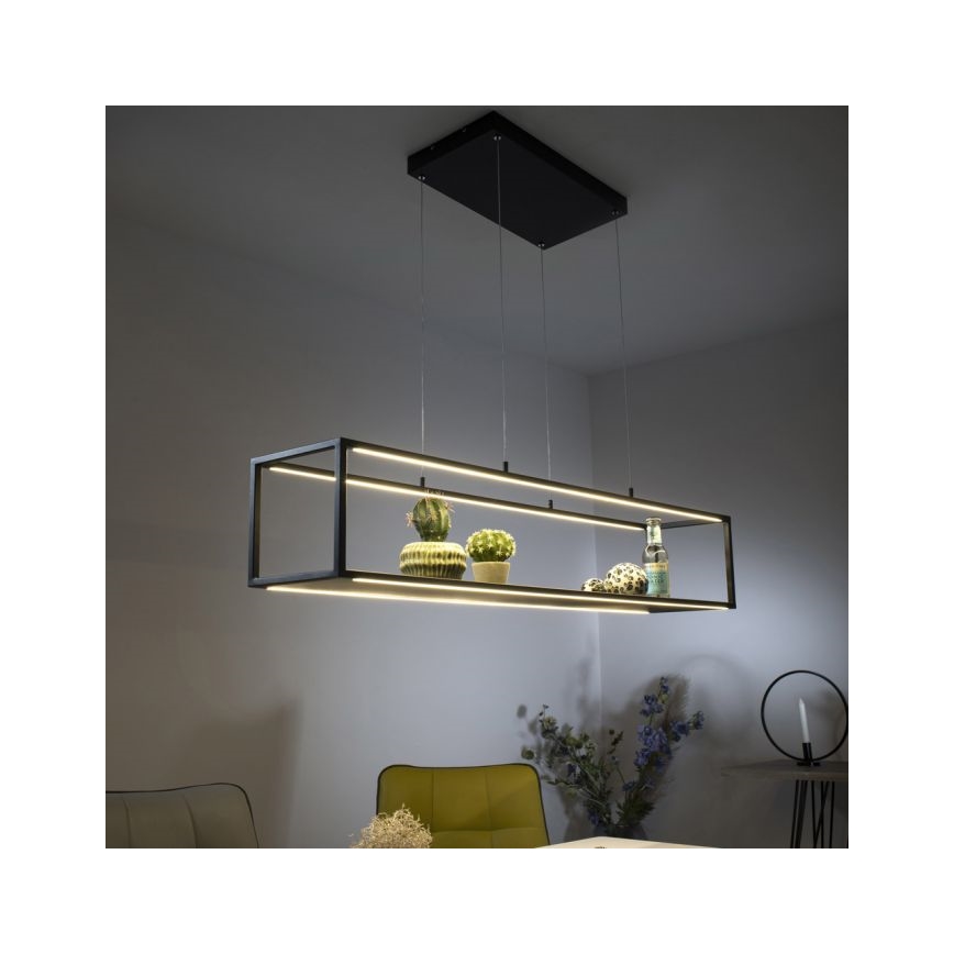 Paul Neuhaus 2441-18 - Suspension filaire à intensité variable CONTURA 4xLED/8W/230V
